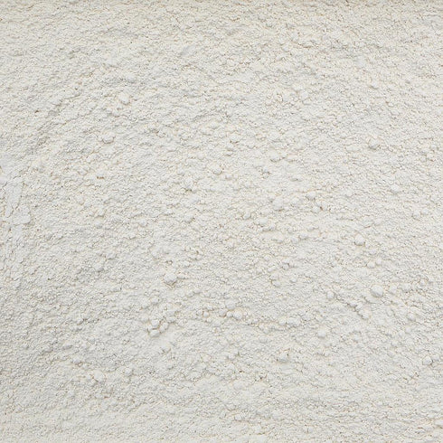 ORGANIC GARLIC, powder